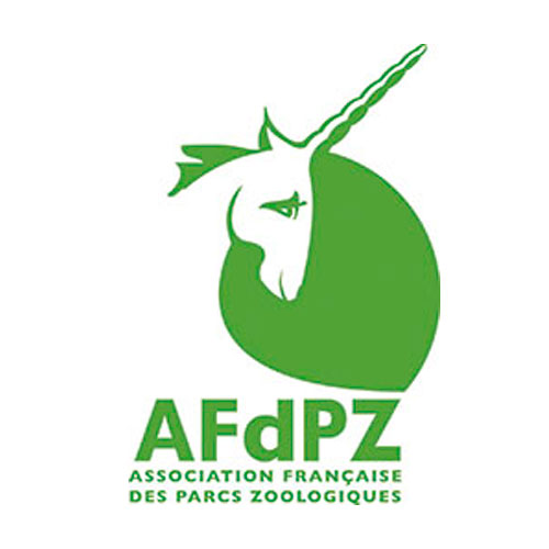 Logo AFDPZ