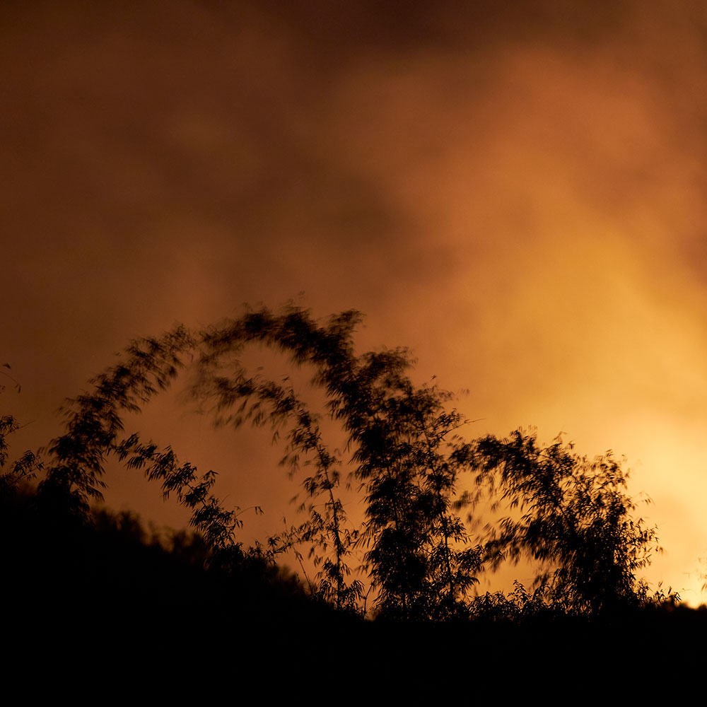 Feu de brulis à Madagascar - Helpsimus