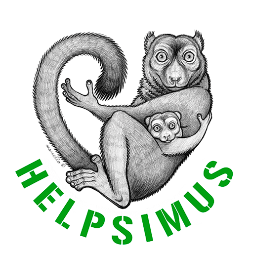 Logo helpsimus